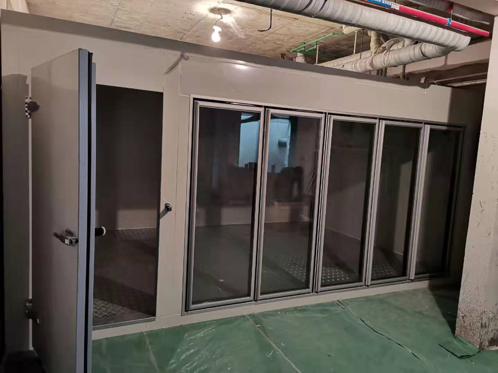 后補式醫(yī)藥冷庫